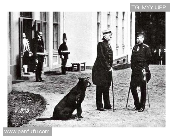 威廉二世与阿尔克的历史对决与影响分析